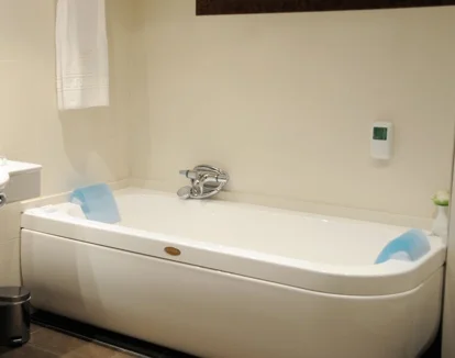 bañera de hidromasaje de la habitacion Hotel Ramon Park