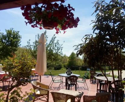 Acogedora terraza con mobiliario exterior y vistas a la naturaleza de este hotel con encanto.