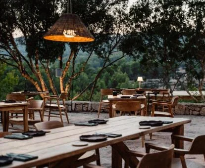 Agradable terraza con mobiliario y vistas a la naturaleza que rodea el hotel.