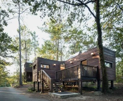 Preciosa cabaña entre árboles con jacuzzi y terraza, perfecta para parejas.