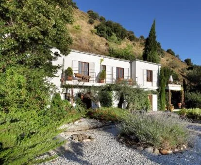 Hermoso edificio de este hotel boutique rodeado de vegetación.
