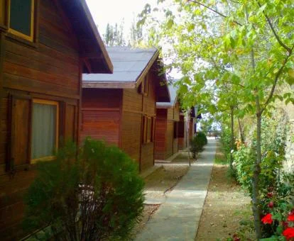 Coquetos bungalows independientes de este camping.