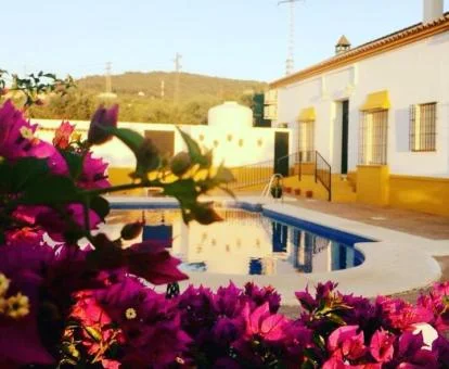 Acogedor hotel con piscina exterior.