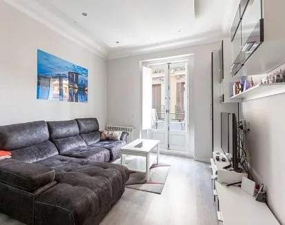 Apartamento muy romántico en el centro de Madrid, con jacuzzi y cerca de la Gran Vía Detalle del salon del apartamento, muy elegante y bien decorado ideal para que sorprendas a tu pareja con un alojamiento que además tiene un jacuzzi junto a la cama