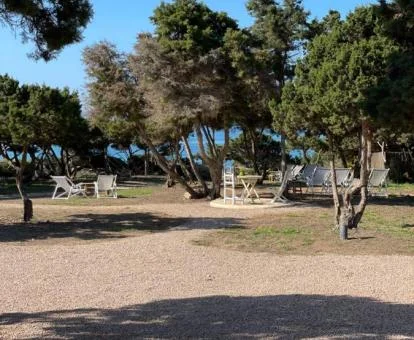 Zona exterior ajardinada con mobiliario y vistas al mar de este complejo de apartamentos solo para adultos.