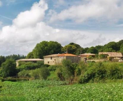 Maravilloso establecimiento rodeado de naturaleza ideal para disfrutar del campo.