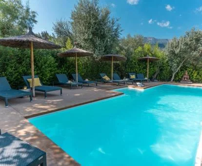 Agradable zona exterior con piscina y solarium rodeada de vegetación del hotel.