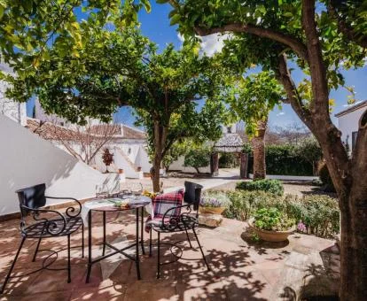 Zonas exteriores con mobiliario y vegetación de este hotel rural.