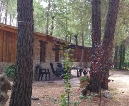 Acogedora cabaña dentro del Parque Natural Río Mundo.