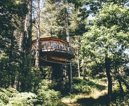 Preciosa cabaña Suite Oooh en los árboles con espectaculares vistas.