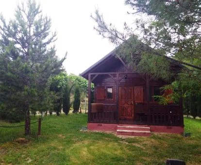 Una de las hermosas cabañas rodeadas de vegetación de este establecimiento rural.