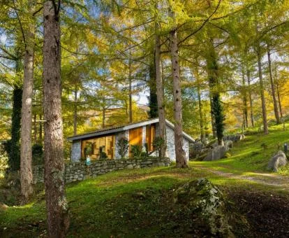 Una de las fabulosas cabañas en medio del bosque de este establecimiento rural.