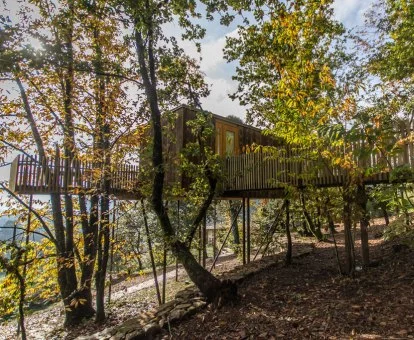 Preciosa Cabaña das furnas de este alojamiento de cabañas en los árboles en pleno bosque.