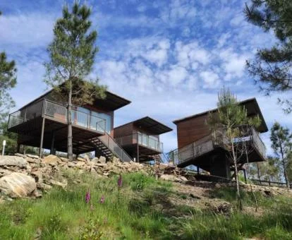 Preciosas cabañas independientes rodeadas de naturaleza.