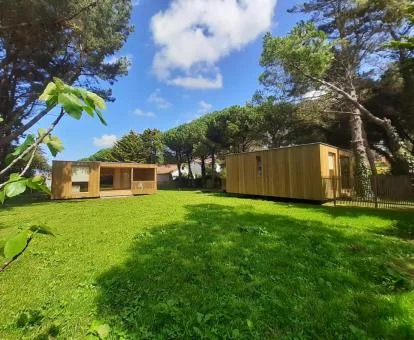 Cabañas independientes de madera de este complejo rural con amplios jardines.