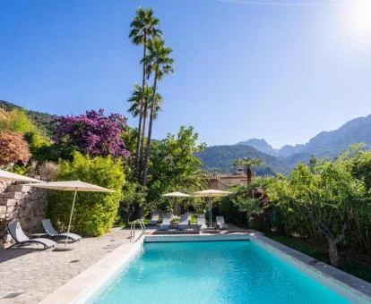 Agradable zona exterior con piscina rodeada de vegetación de este hotel boutique.