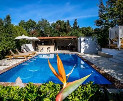Hermosa zona exterior con piscina rodeada de vegetación de este alojamiento rural.