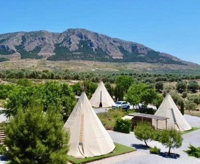 Tipis independientes de este establecimiento rural en medio del campo.