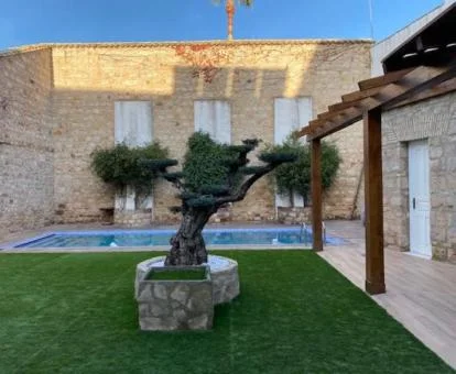 Zona exterior con piscina y solarium del hotel.