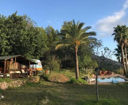 Acogedor establecimiento con cabañas de madera y piscina rodeada de naturaleza.