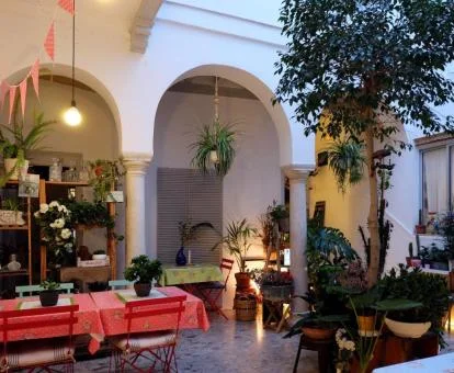 Agradable patio con mobiliario y vegetación del hotel.