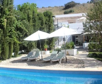 Zona exterior ajardinada con piscina al aire libre de este acogedor bed and breakfast.