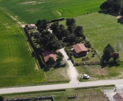 Vista aérea de estas casas independientes con zona exterior privada y grandes extensiones de jardín.