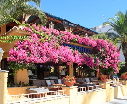 Edificio de este precioso hotel con vegetación y zona exterior.