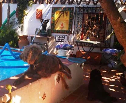 Zona exterior con piscina y mobiliario exterior de este hotel solo para adultos.