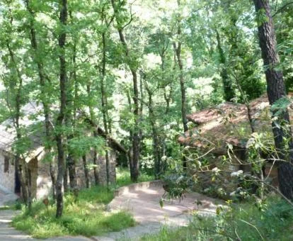 Casas de campo de este coqueto establecimiento rural en medio del bosque.