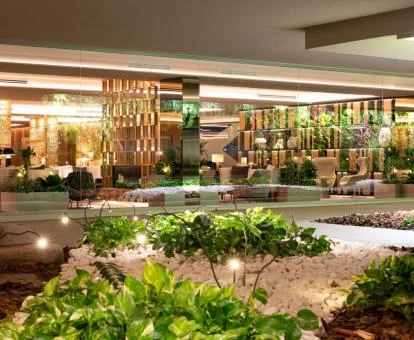 Zona compartida con preciosa vegetación de este hotel con encanto.