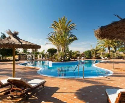 Amplia zona exterior con piscina, tumbonas y palmeras de este hotel solo para adultos.