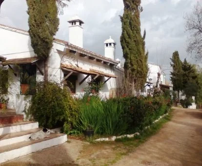 Una de las acogedoras casas rurales de este cortijo en medio del campo.