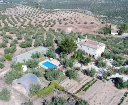 Acogedor cortijo en un tranquilo entorno para desconectar del bullicio.