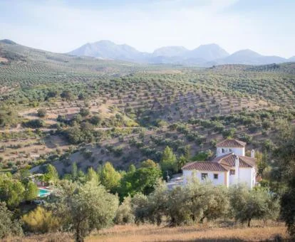Edificio de este establecimiento rural en medio del campo.