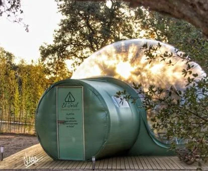 Uno de los preciosos alojamientos independientes rodeados de naturaleza del establecimiento.