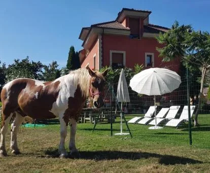 Precioso hotel rural con amplios jardines y mobiliario al aire libre.