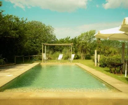 Piscina exterior rodeada de jardines con árboles y zonas de estar de este hotel solo para adultos.