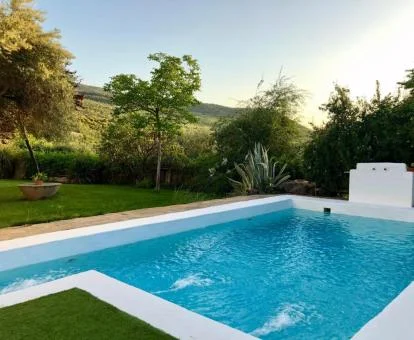 Amplia piscina exterior rodeada de vegetación de este establecimiento.