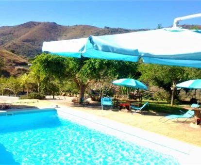 Preciosa piscina rodeada de vegetación de este hotel con encanto.