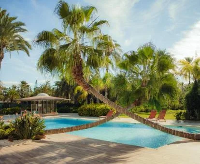 Fabulosa zona exterior con piscina rodeada de vegetación de este hotel.