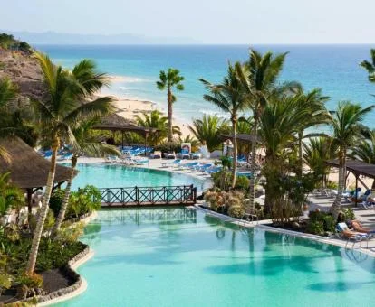 Espectacular zona exterior con piscina rodeada de palmeras de este hotel con encanto junto a la playa.