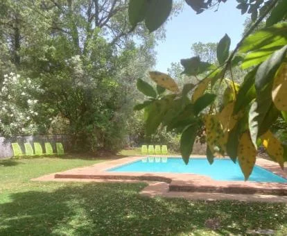 Zona exterior ajardinada con piscina al aire libre rodeada de vegetación del hotel.