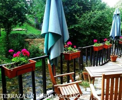 Terraza con comedores exteriores y vistas a la naturaleza que rodea el hotel.