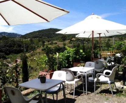 Comedores exteriores con espectaculares vistas a la naturaleza.