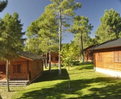 Cabañas de madera en un fabuloso entorno natural ideal para una escapada romántica.