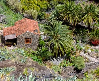 Vista aérea de esta acogedora casa en medio de la naturaleza.