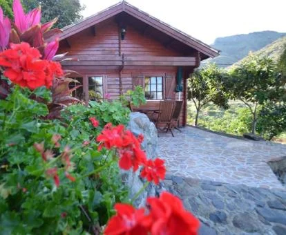Agradable cabaña con zona exterior rodeada de vegetación.