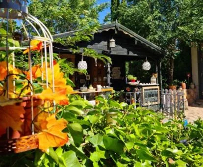 Preciosa casa rodeada de vegetación con piscina privada.