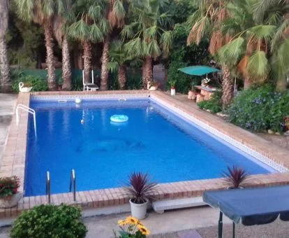 Agradable espacio exterior rodeado de vegetación con solarium y piscina al aire libre de este alojamiento rural.